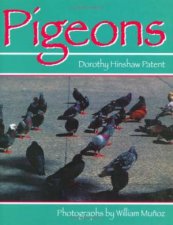 Pigeons