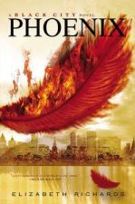 Phoenix Black City Book 2