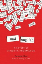 Bad English A History of Linguistic Aggravation