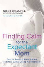 Finding Calm for the Expectant Mom Tools for Reducing Stress Anxiety  and Mood Swings During Your Pregnancy