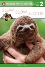 Slow Slow Sloths