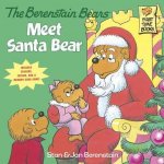 The Berenstain Bears Meet Santa Bear Deluxe Edition