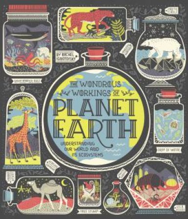 The Wondrous Workings Of Planet Earth by Rachel Ignotofsky