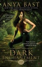 Dark Enchantment A Dark Magick Novel