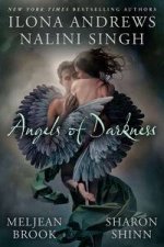 Angel Of Darkness