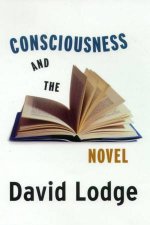 Consciousness And The Novel