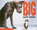 Big And Little Board Book