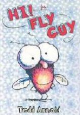 Hi Fly Guy