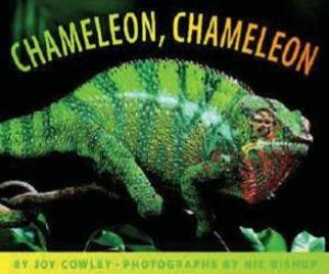 Chameleon Chameleon by Joy Cowley