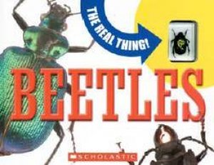 The Real Thing: Beetles by Mary Packard