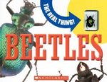 The Real Thing Beetles