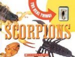 The Real Thing Scorpions