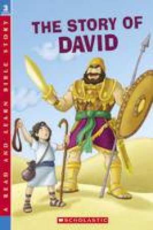 Story Of David by Teddy Slater