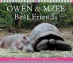 Owen  Mzee Best Friends