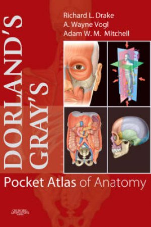 Dorland's/Gray's Pocket Atlas of Anatomy by Richard L. Drake & Wayne Vogl & Adam W. M. Mitchell & Nanda