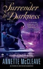 Surrender to Darkness A Soul Gatherer Novel