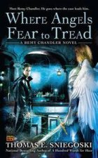 Where Angels Fear to Tread Remy Chandler Book 3