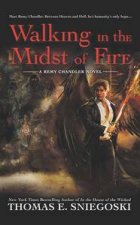 Walking in the Midst of Fire Remy Chandler Book 6