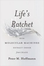 Lifes Ratchet