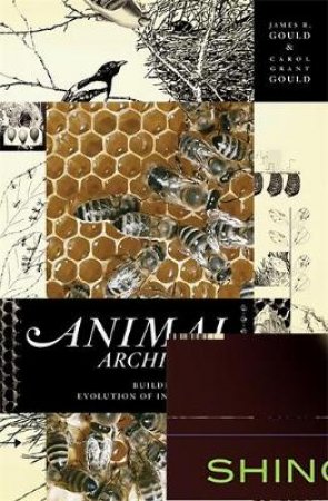 Animal Architects by James L. Gould & Carol Grant Gould