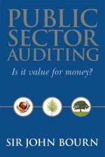 Public Sector Auditing  Is It Value For Money