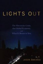 Lights Out The Electricity Crisis The Global Economy And What It Means To You