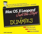 Mac OS X Leopard Just The Steps For Dummies