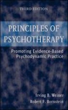 Principles of Psychotherapy  Promoting EvidenceBased Psychodynamic Practice 3rd Ed