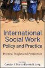 International Social Work Policy and Practice Practical Insights and Perspectives