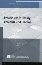 Process Use In Theory Research And Practice New Directions For Evaluation 116 Winter 2007