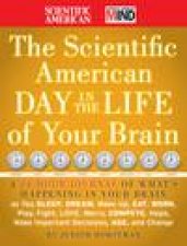 Scientific American a Day in the Life of Your Brain