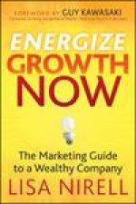 Energize Growth NOW The Marketing Guide to a Wealthy Company