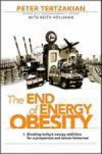 End of Energy Obesity Breaking Todays Energy Addiction for a Prosperous and Secure Tomorrow