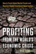 Profiting From the Worlds Economic Crisis Finding Investment Opportunities By Tracking Global Market Trends