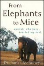 From Elephants to Mice Animals Who Have Touched My Soul