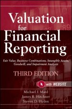 Valuation for Financial Reporting Third Edition  Website Fair Value Business Combinations  Intangible Assets Goodw