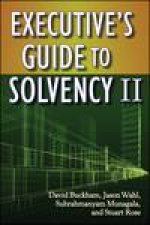 Executives Guide to Solvency II
