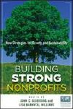 Building Strong Nonprofits New Strategies for Growth and Sustainability