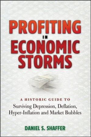 Profiting In Economic Storms: A Historic Guide To Surviving Depression, Deflation, Hyperinflation, And Market Bubbles by Daniel S Shaffer