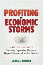 Profiting In Economic Storms A Historic Guide To Surviving Depression Deflation Hyperinflation And Market Bubbles