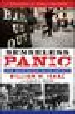 Senseless Panic: How Washington Failed America by William M Isaac & Paul A Volcker