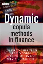 Dynamic Copula Methods for Finance