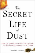The Secret Life Of Dust Big Consequences Of Little Things