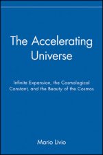 The Accelerating Universe