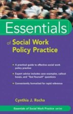 Essentials Of Social Work Policy Practice