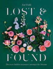 Lost  Found