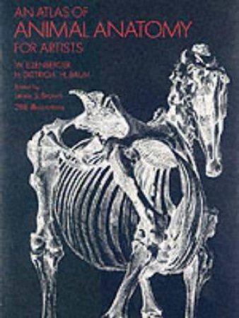 An Atlas of Animal Anatomy for Artists by Wilhelm Ellenberger