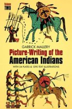 Picture Writing of the American Indians Vol 2