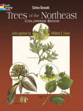 Trees of the Northeast Coloring Book