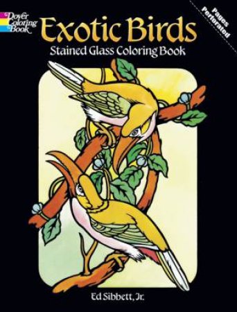 Exotic Birds Stained Glass Coloring Book by ED SIBBETT
